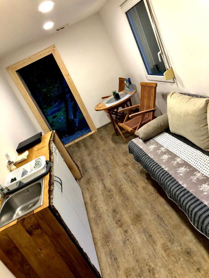 Villa Skalca à Kamniska Bistrica Extérieur photo