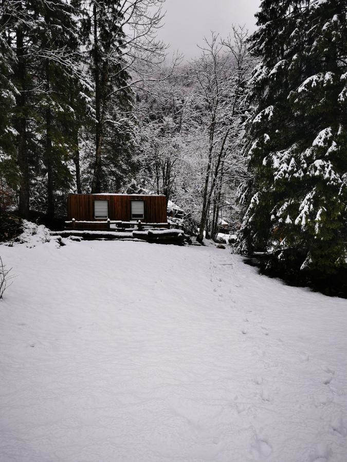 Villa Skalca à Kamniska Bistrica Extérieur photo